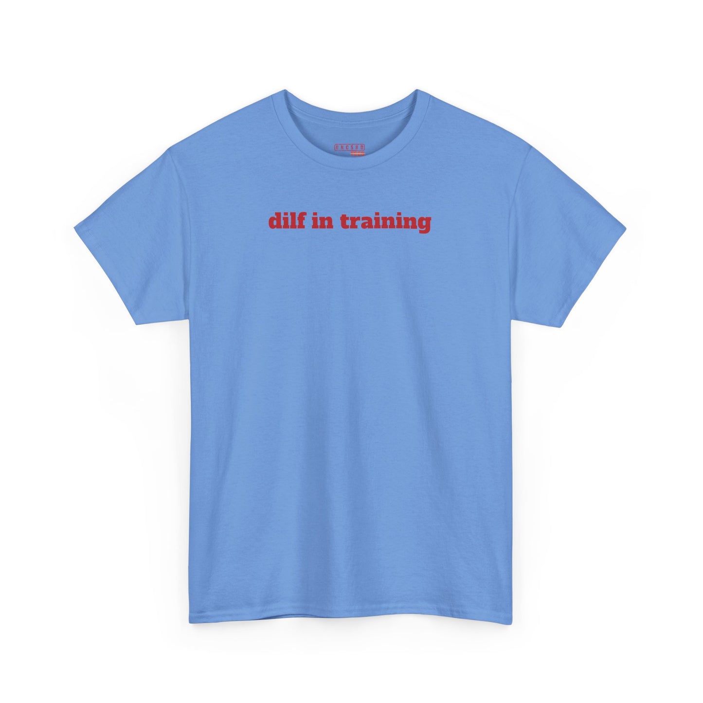 Dilf in Training Tee