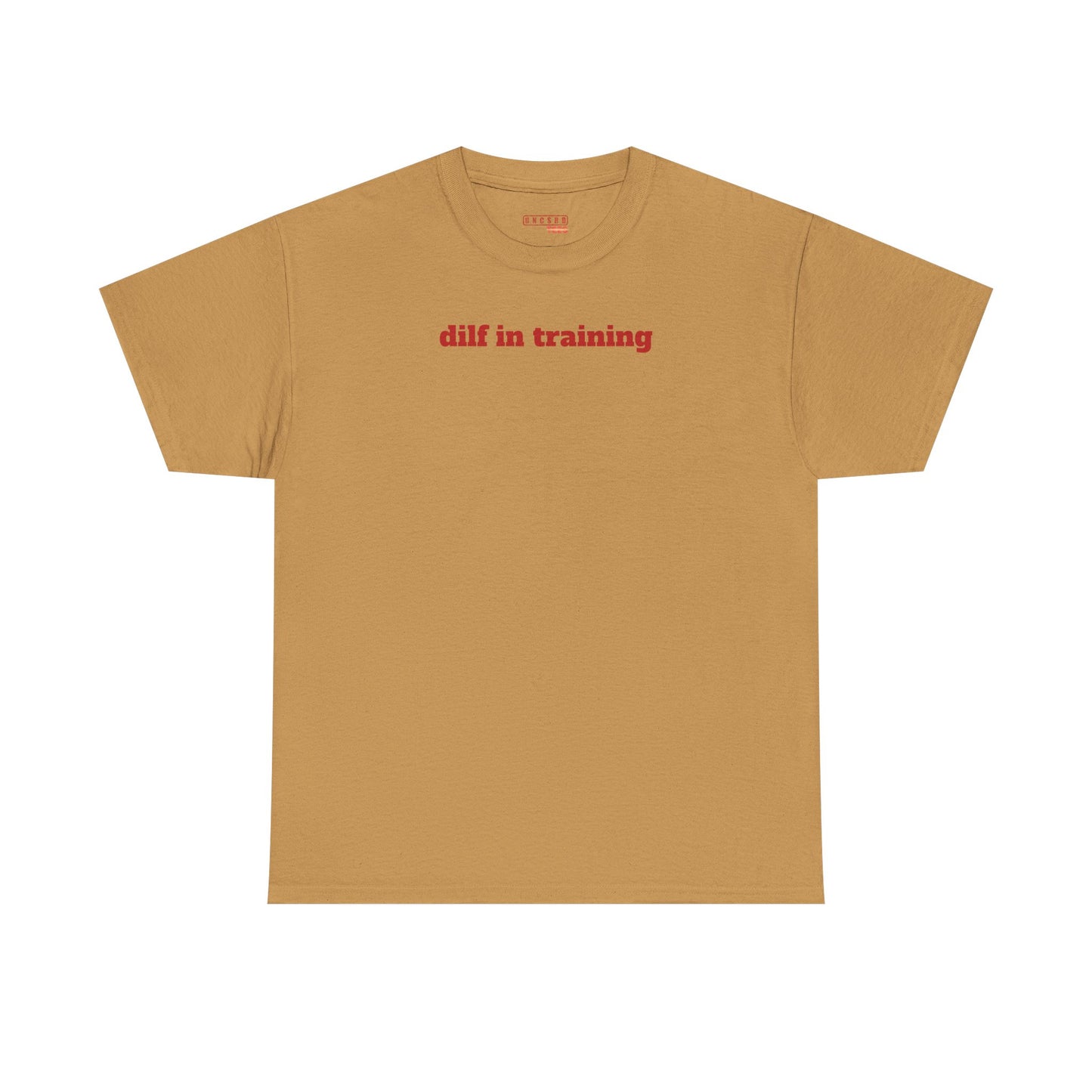 Dilf in Training Tee