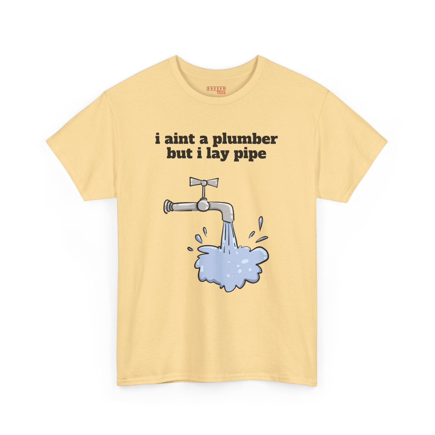 Ain’t No Plumber