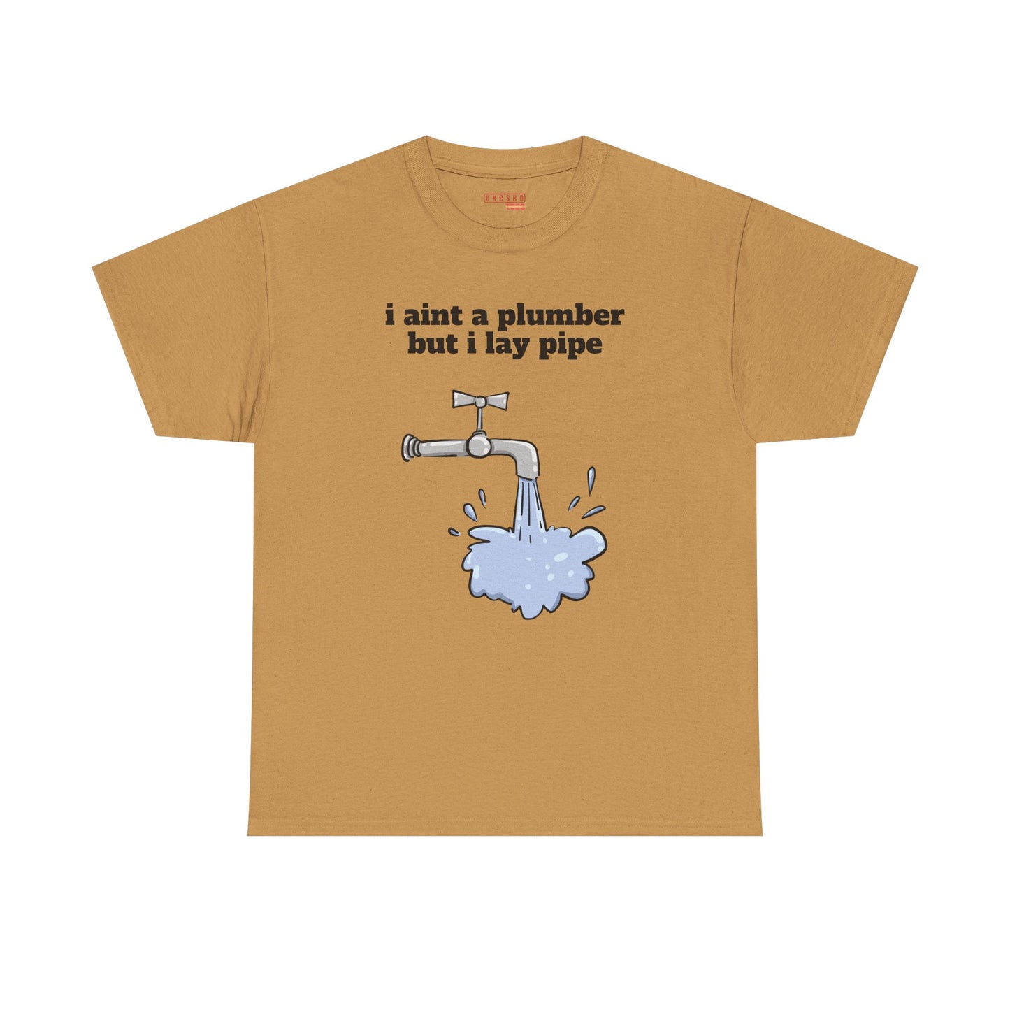 Ain’t No Plumber