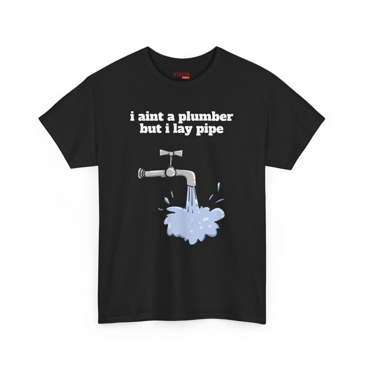 Ain’t No Plumber