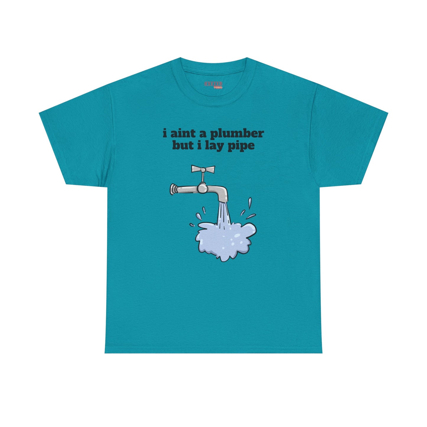Ain’t No Plumber