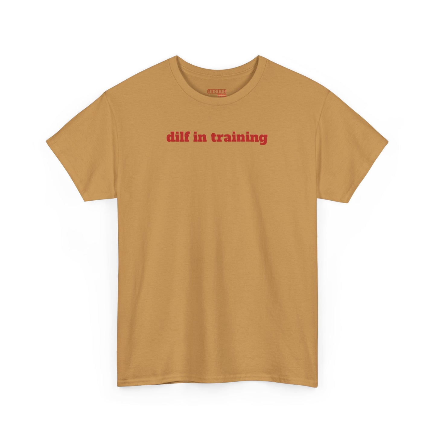 Dilf in Training Tee