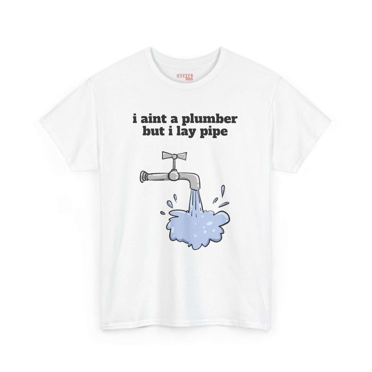 Ain’t No Plumber