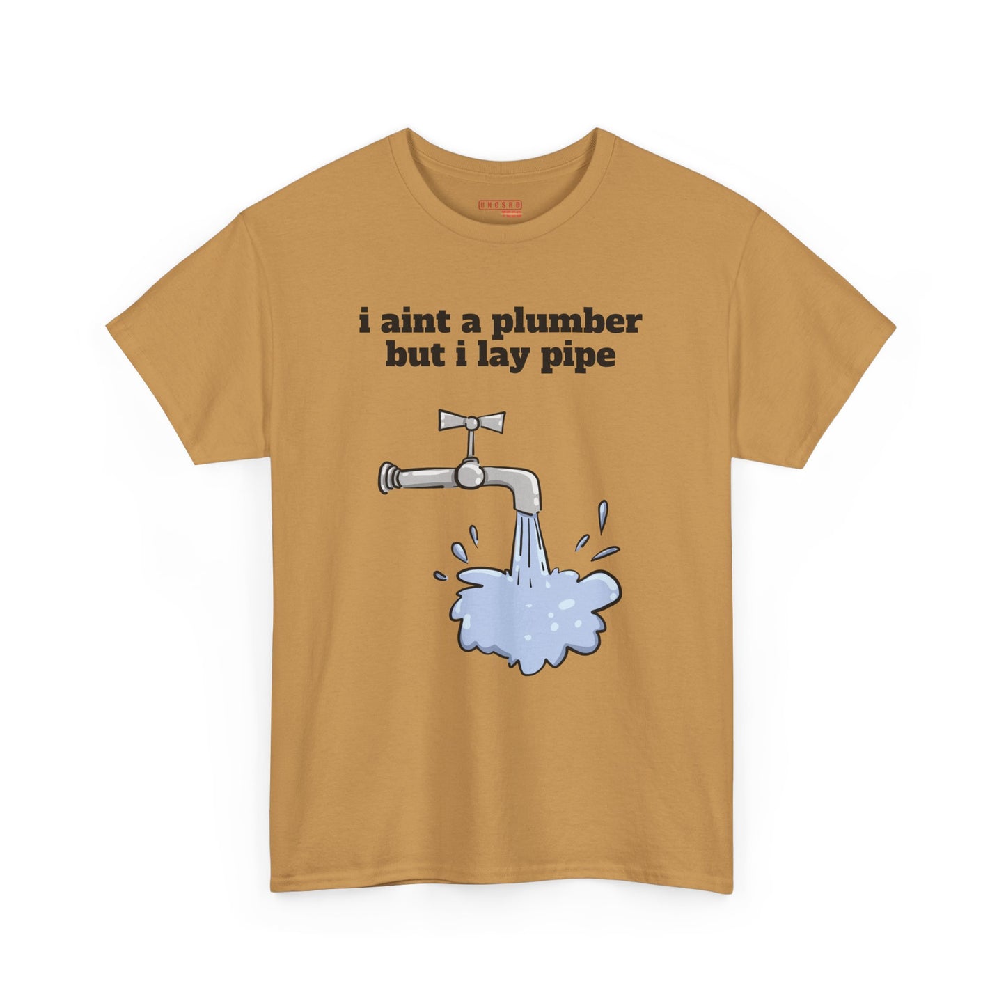 Ain’t No Plumber