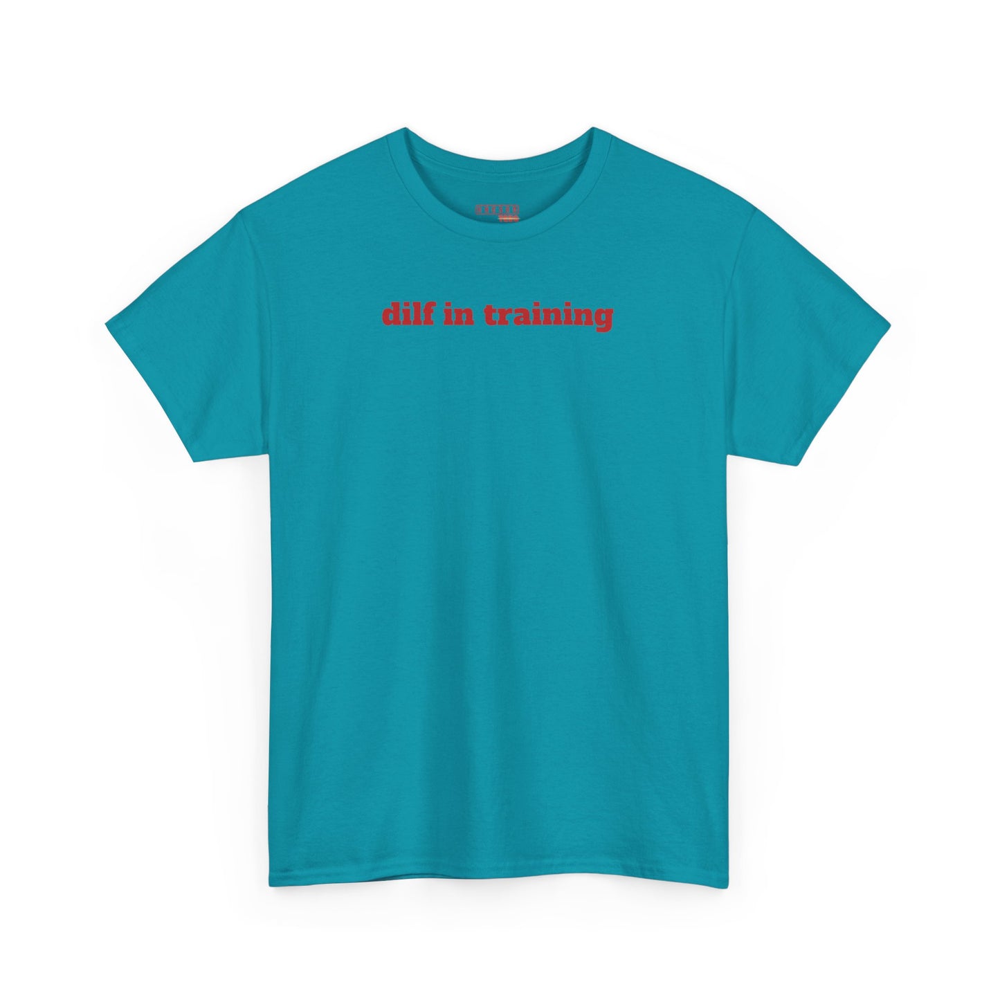 Dilf in Training Tee